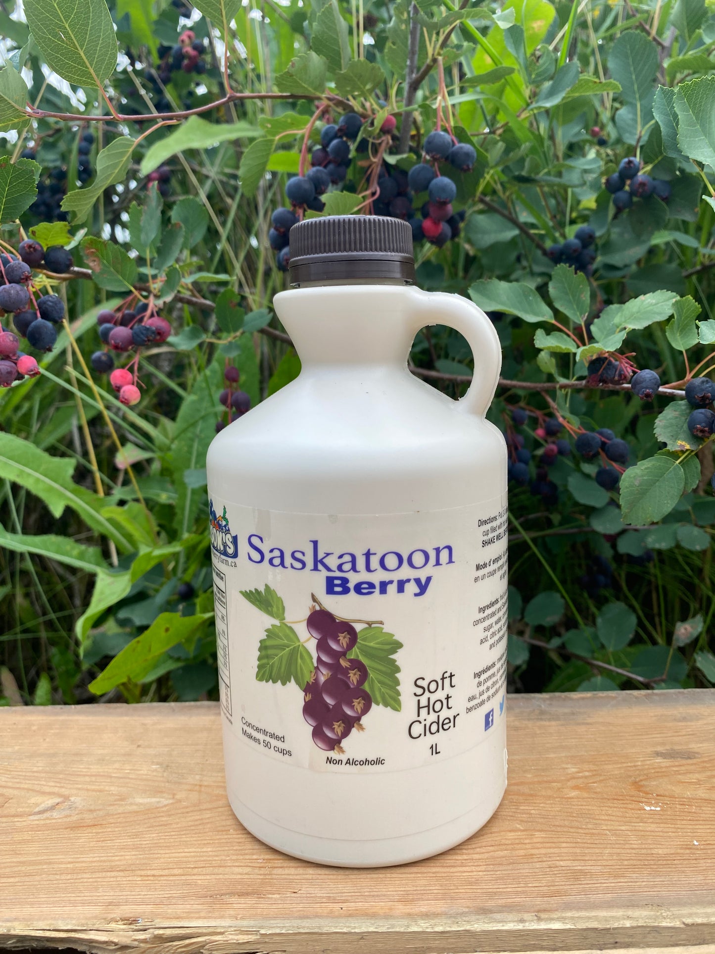 Saskatoon Cider 1L